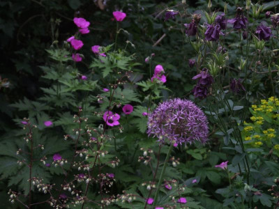 DSCF6413.JPG