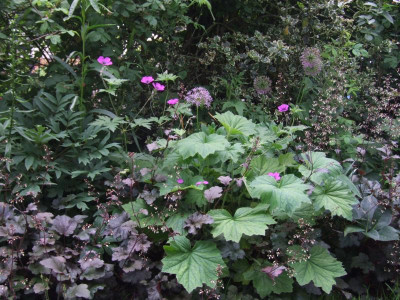 DSCF6422.JPG