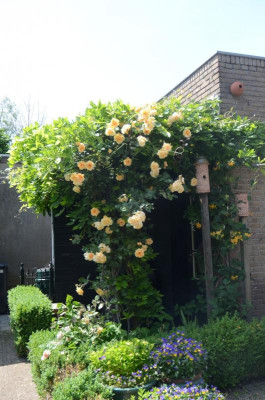 D4890 (Large).JPG