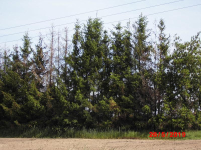 DSCI0026.JPG