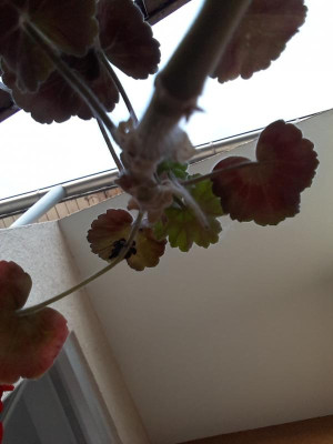 20190601_204042.jpg