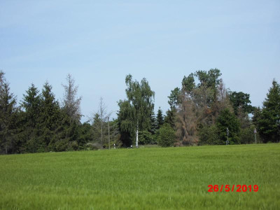 DSCI0019.JPG