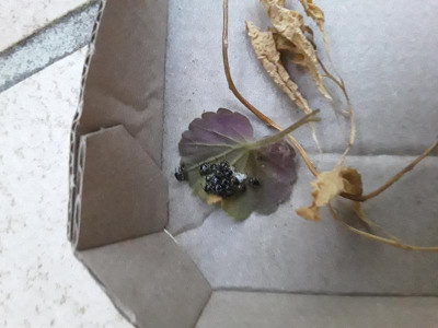 20190601_211347.jpg