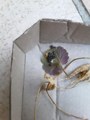 20190601_211343.jpg