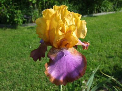 01.06.2019 18-31-34_10402.jpg