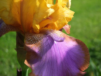 01.06.2019 18-31-39_10404.jpg