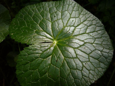 05.06.2007.2.JPG