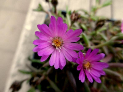 P1210757.JPG