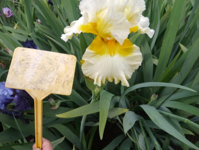 20190531_163301.jpg