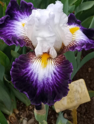 20190531_160701.jpg