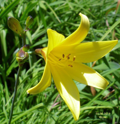 Hem minor 2019 06.jpg