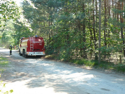 Stauden 683.jpg