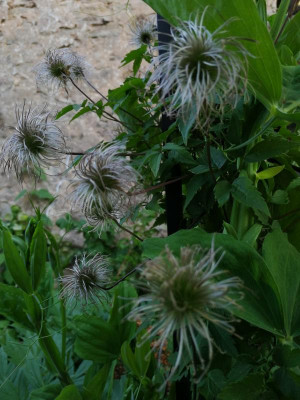 IMG_20190602_195702.jpg