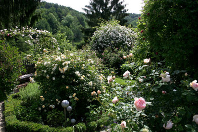 Evi-Garten0107.jpg