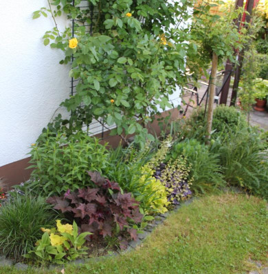 Kleines Beet mit gelber KletterroseIMG_9511.jpg