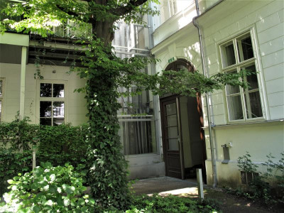 efeubaum.img.JPG