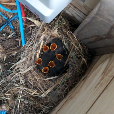rps20190603_152105.jpg