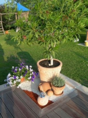 terrasse.jpg