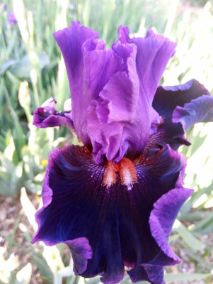 20190604_080845.jpg