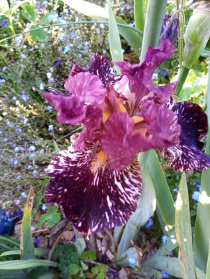 20190604_080509.jpg