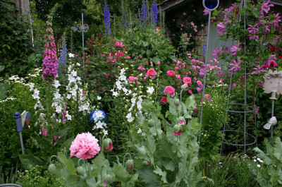 Gartenansicht4307.jpg