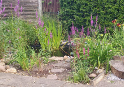 20180701_064546_HDR.jpg