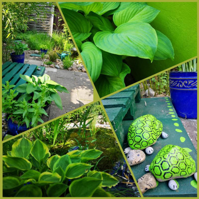inCollage_20190604_083134247.jpg