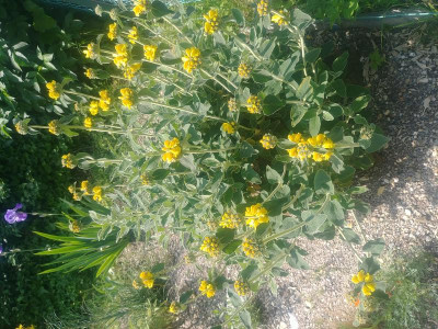 20190526_103935.jpg