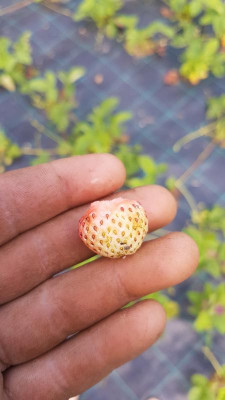 20190605_181538.jpg