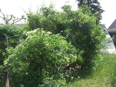 DSCF5778M.JPG
