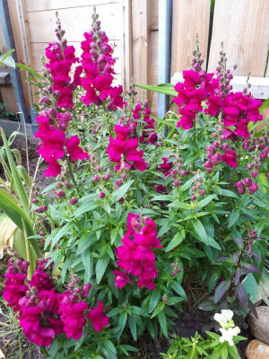 20190530_173136.jpg