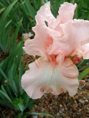 20190607_105019.jpg