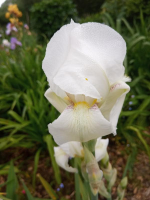 20190607_104917.jpg