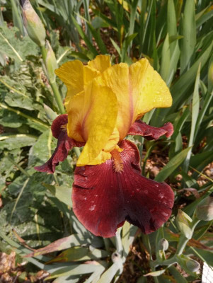 20190607_104539.jpg