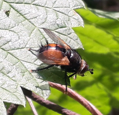rps20190607_121109.jpg