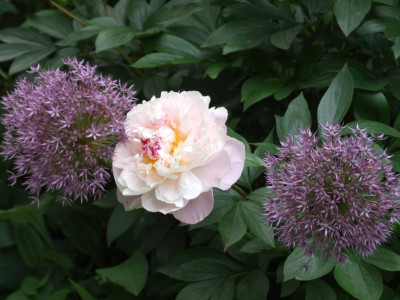 DSCF6484.JPG