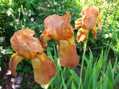 07.06.2019 19-28-42_10949.jpg