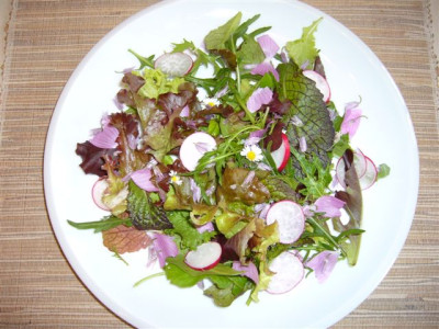 07.06.2007.0.JPG