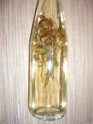 Lavendel_im_Schnaps_07.06.2007.JPG