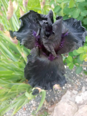 20190606_085408.jpg