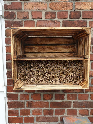 bienenh.jpg