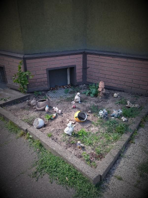 Florale Besonderheiten.jpg