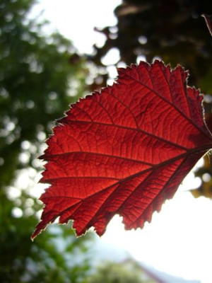 07.06.2007.2.JPG