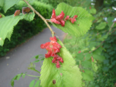 DSC06328.JPG