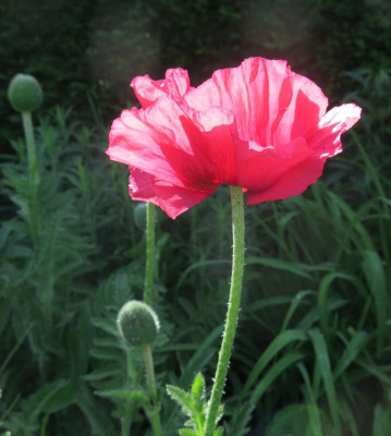 IMG_6503.JPG