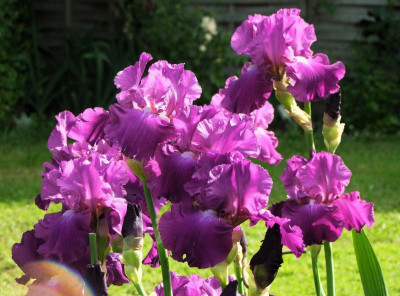 09.06.2019 10-04-39_11318.jpg