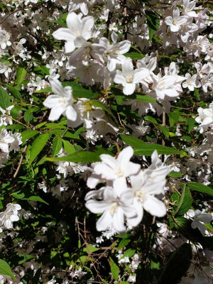 20190602_161407.jpg