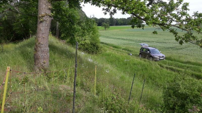kleinfläche2019juni.jpg