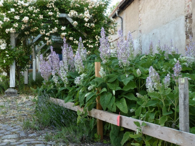 tg_190610.jpg