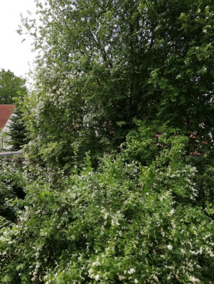 IMG_20190610_101352.jpg